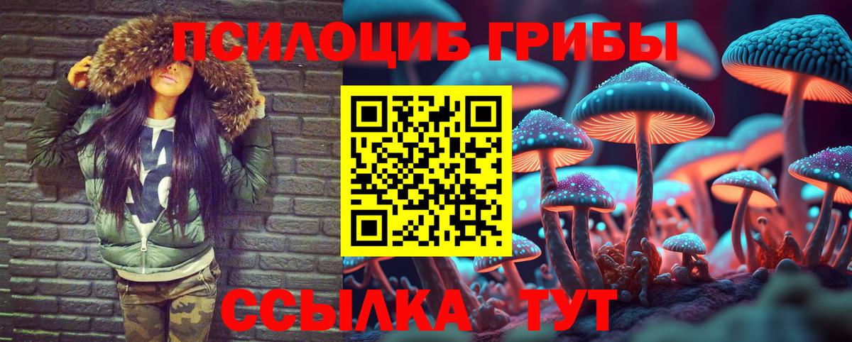 Псилоцибиновые грибы прущие грибы Беслан
